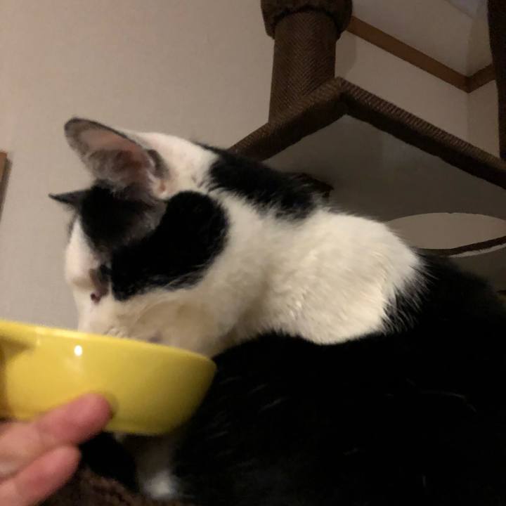 F572e71d 0ac3 4cdd 9755 b11aa660ef4a 1548423090240