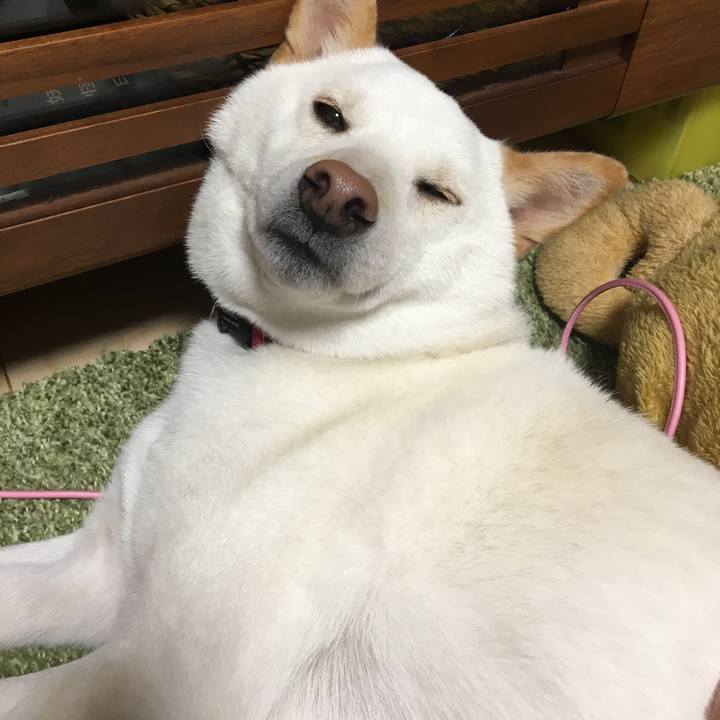 F57309ea f88d 4a9d 9d9a 426abfeb15ed 1546235582566