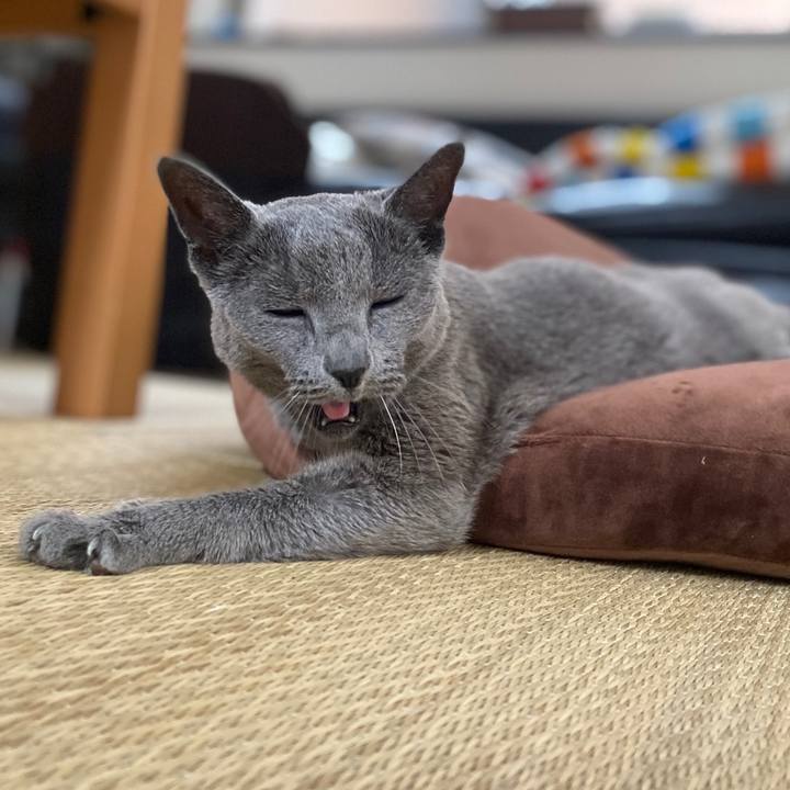 F5732b20 3c3e 4b60 b86e 5f60c6953a7f 1592699983248