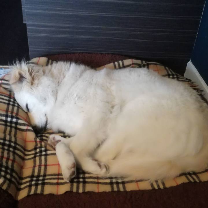 F5733961 880c 4a61 998e 9a6f74666ae2 1521160910170