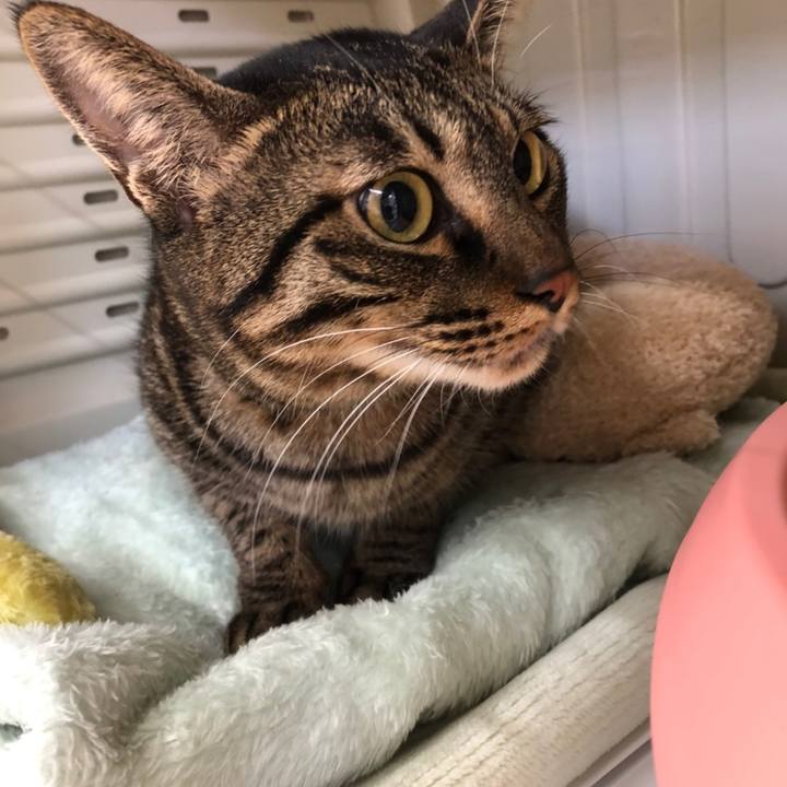 F5733eee bbab 41f7 b5b9 9d0a8267052b 1579359327020