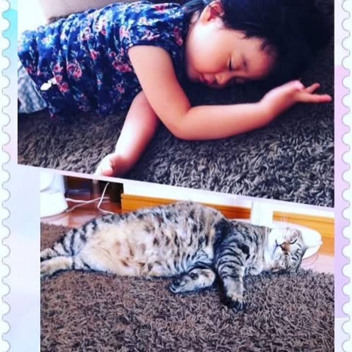 F573c474 fdc5 4cfb 9121 1c8847f0235b 1733647596618