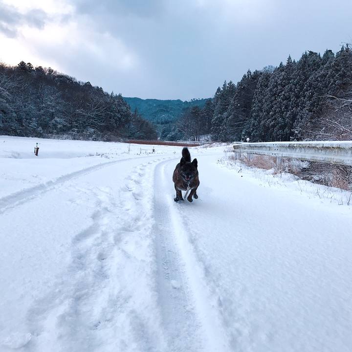 F573d9ea 03f6 4030 8cd7 b04f4a2928a4 1549756300748