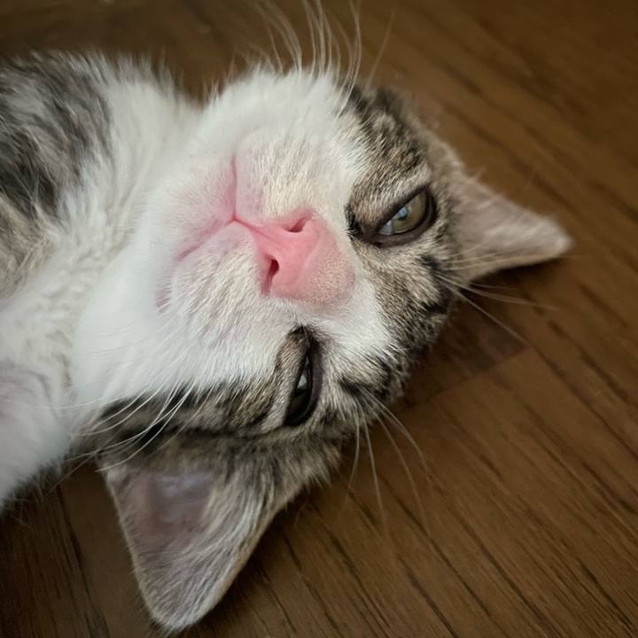 F573ff26 75e0 45c3 b72b e68a15897aff 1721829459378