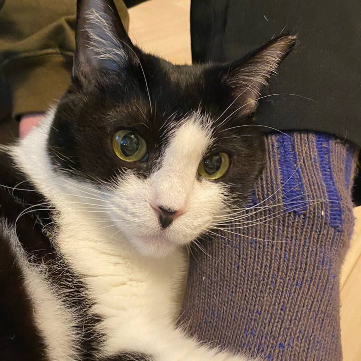 F574468b 48b0 4409 bd12 9fc28ebd172c 1772356310727