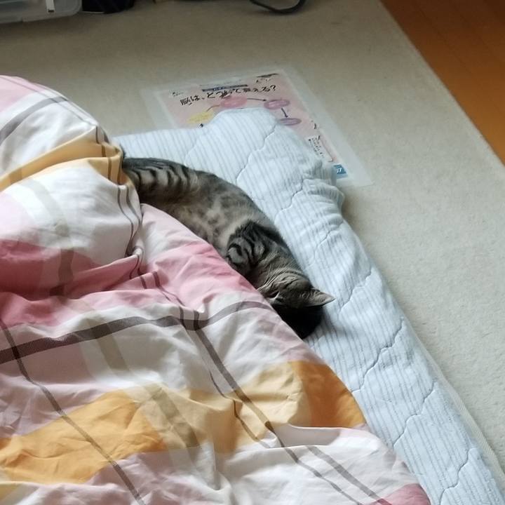 F5744895 7281 4678 8a33 c107311fd1ab 1693402357634