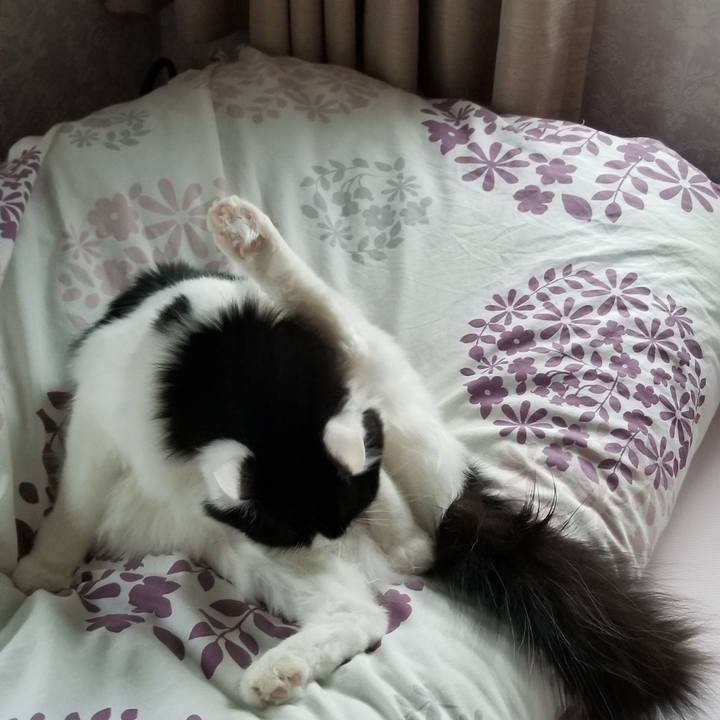 F5745742 ea0a 4983 994c 2d6fd2267444 1556315307951