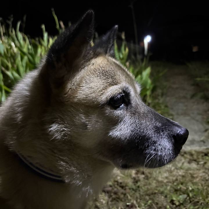 F57499c7 49b1 4fe2 920e dd19ed9da271 1763727877499