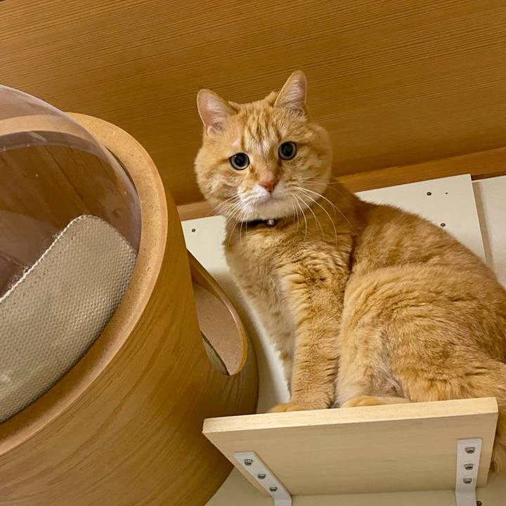 F5749b73 1844 43f5 9318 05fd7f2ea8fc 1767862152392