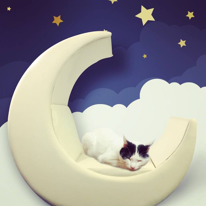 F5749e8c ea97 4c30 8132 d543e51eace8 1528476294745