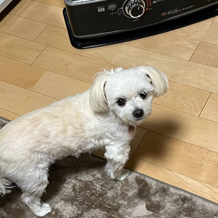 F574b885 bf34 4104 ae7e e8c8148f2744 1668167623166