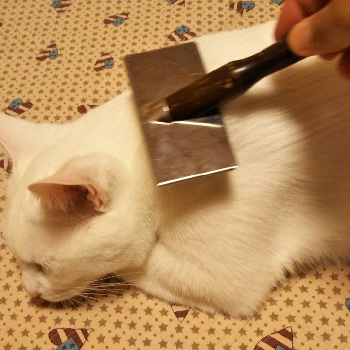 F57509f7 abd2 4ba5 9b78 d1dca8cb9428 1530451666010