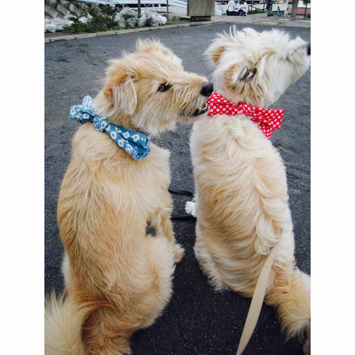 F5751528 e76b 4eb0 afe1 a2a3d4d5307f 1543806873594