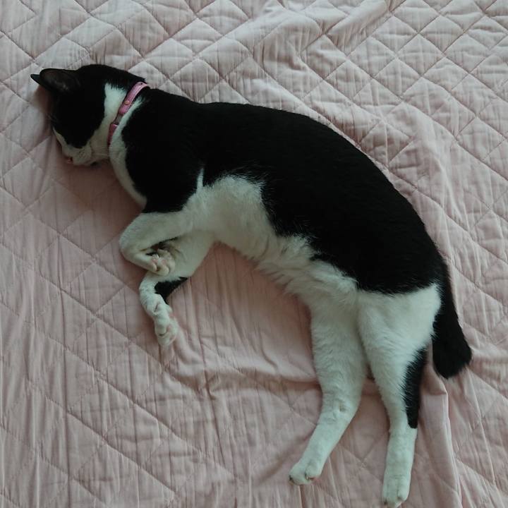 F57515fa 3b6e 49ac 830c d90cd59c825b 1594345538710