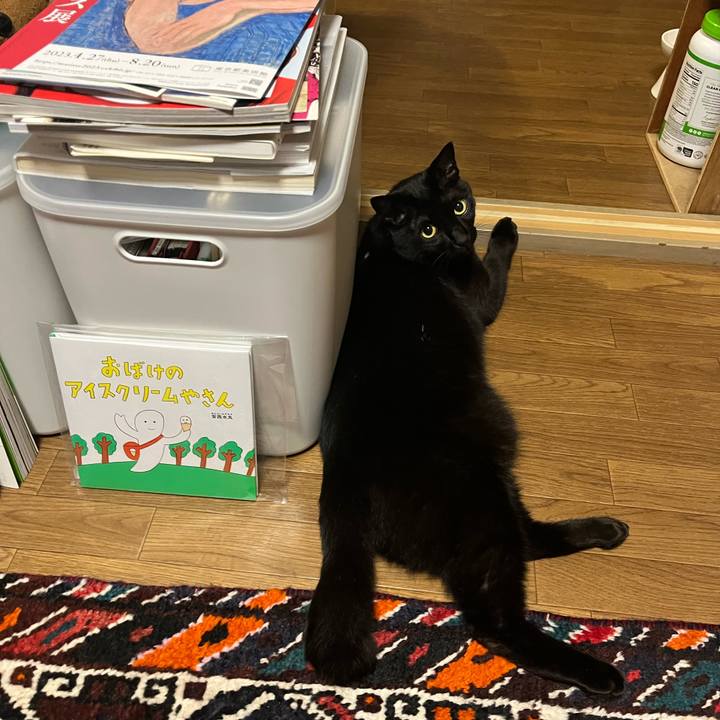 F5753fb6 2176 4d0c ae41 9c3a8a6e503f 1683594306830