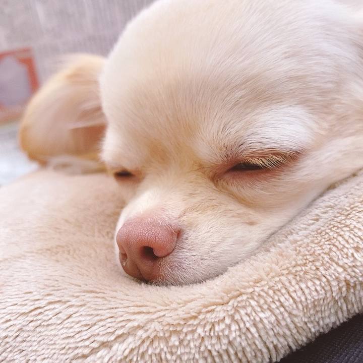 F575ac92 7788 4d61 8c93 0c245cb7debc 1618141651163