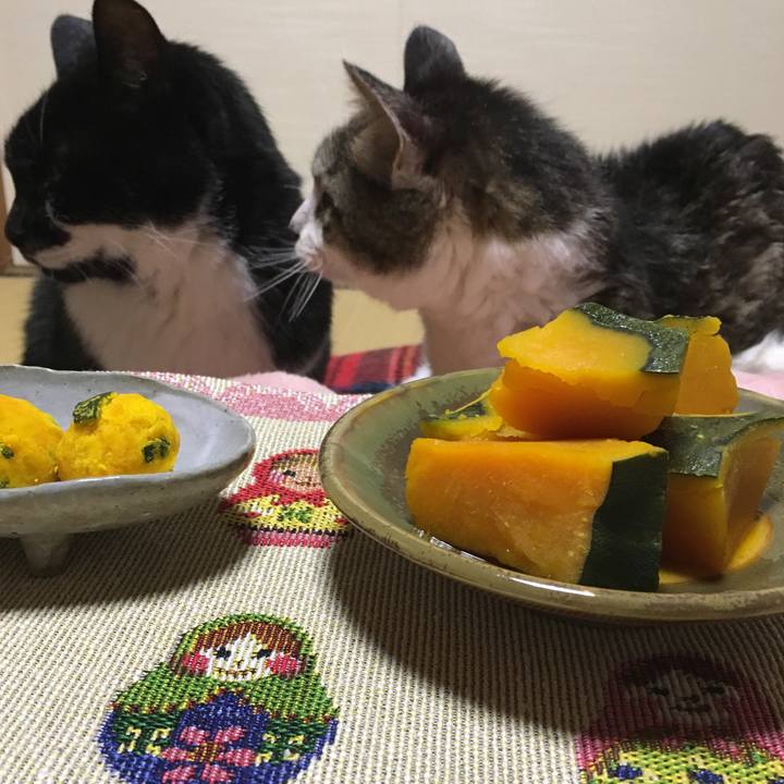 F575b023 775c 421d 80f8 b96317e8cae4 1513946849933