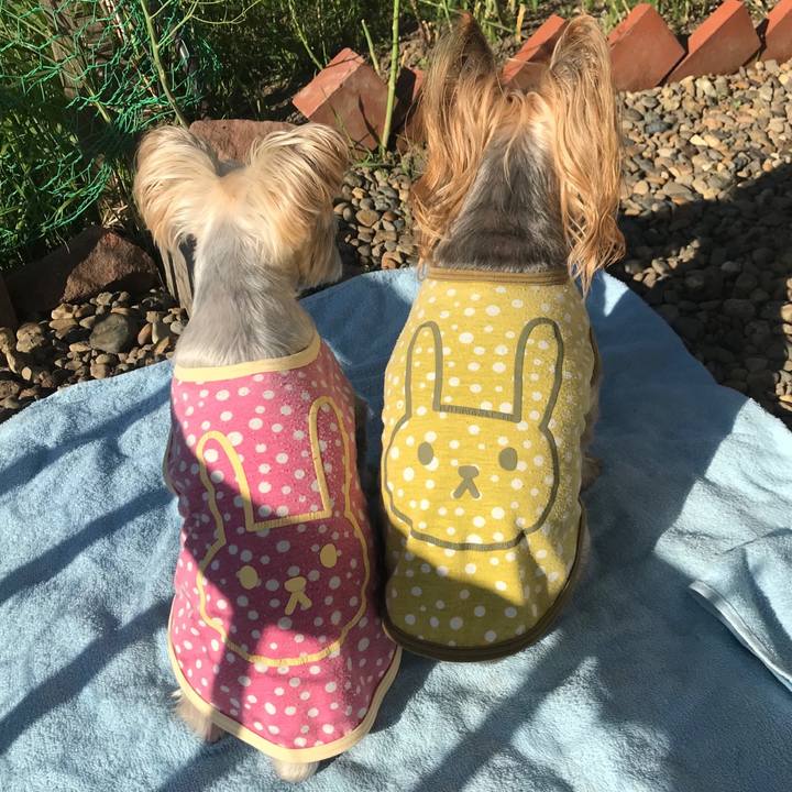 F575b63a 98c3 4ed5 ab8d 6e4184c9f7cb 1559289805532