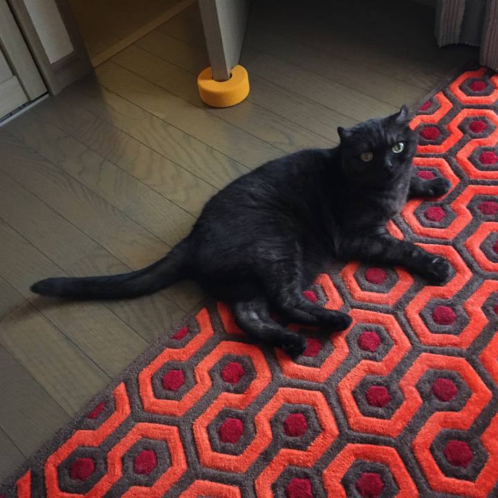 F575c91a f604 4996 95dd 969188253bc3 1532219679144