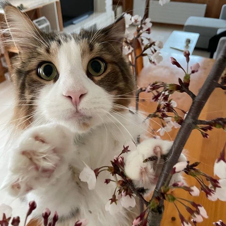 F57636fc af5e 41ff b706 5602a56488d6 1713735015546