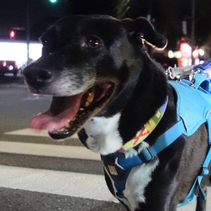 F5765c3d 163f 475d 91ef e9bbecb14a54 1696329817799