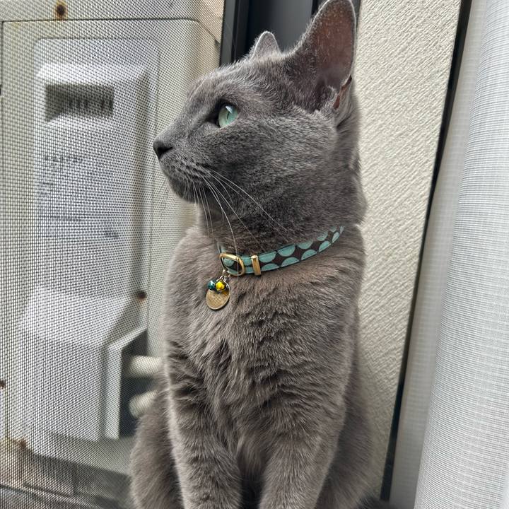 F57661c3 0fcf 41a4 9424 b0bf873c5e25 1688777017817