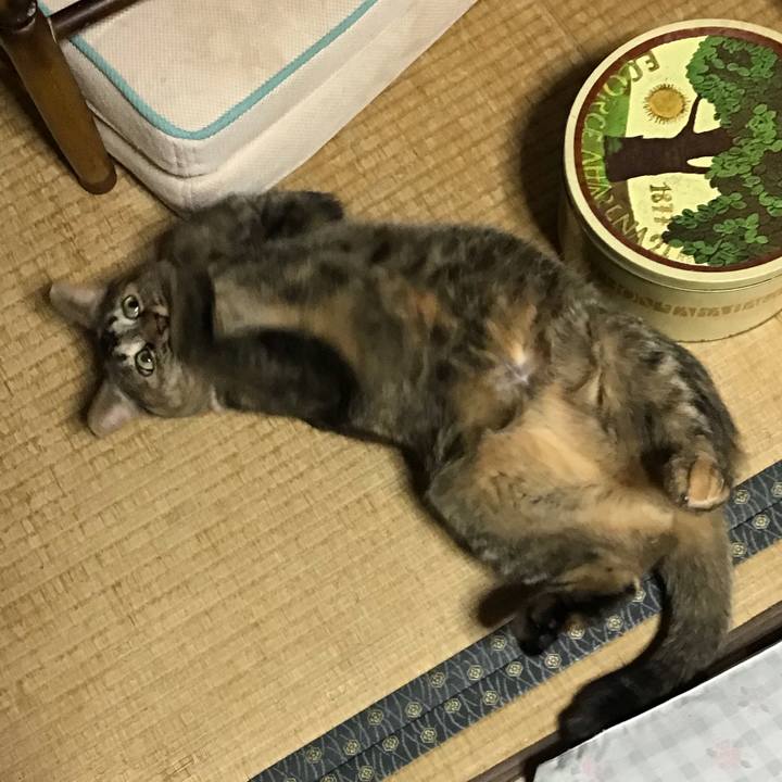 F5767948 21b9 4b39 8eb4 6756bf6acfc2 1666697177128