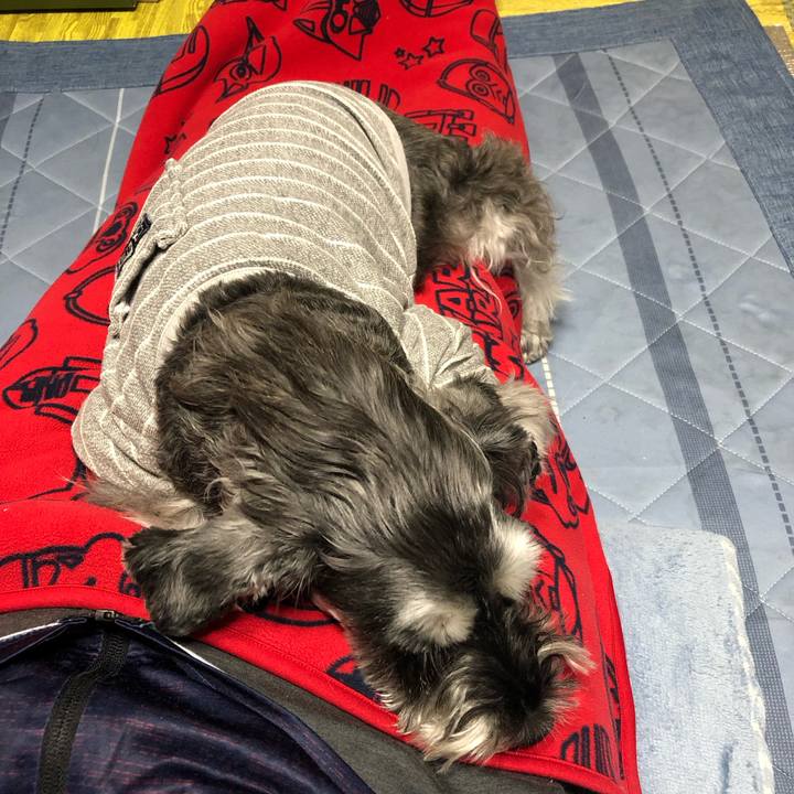 F5768cc7 f676 414e b405 adca92e5a1f0 1698494764340