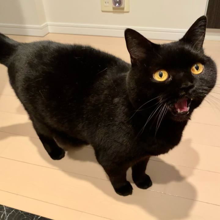 F576d4d9 2f17 4013 b861 84ac25c0ca21 1704791188486