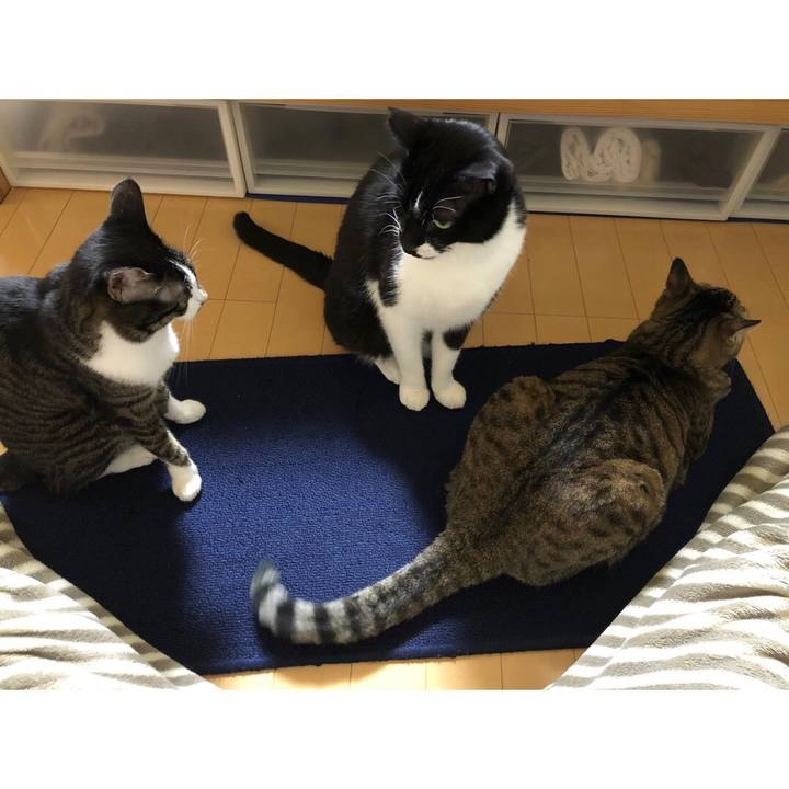 F576dcac adb6 467e afd6 6f5c55bd076b 1640961916591