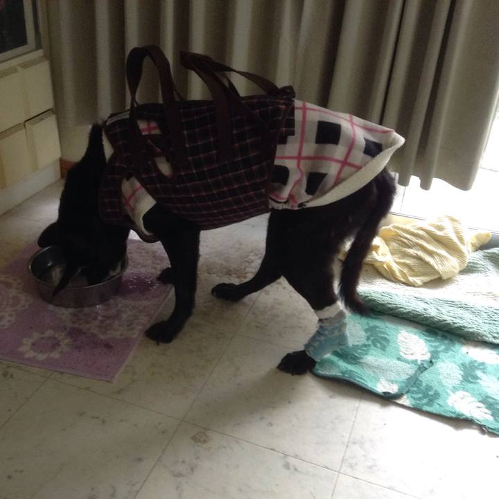 F5770d2e 5e09 420f b0bb 65b323f5b0f1 1515807071203