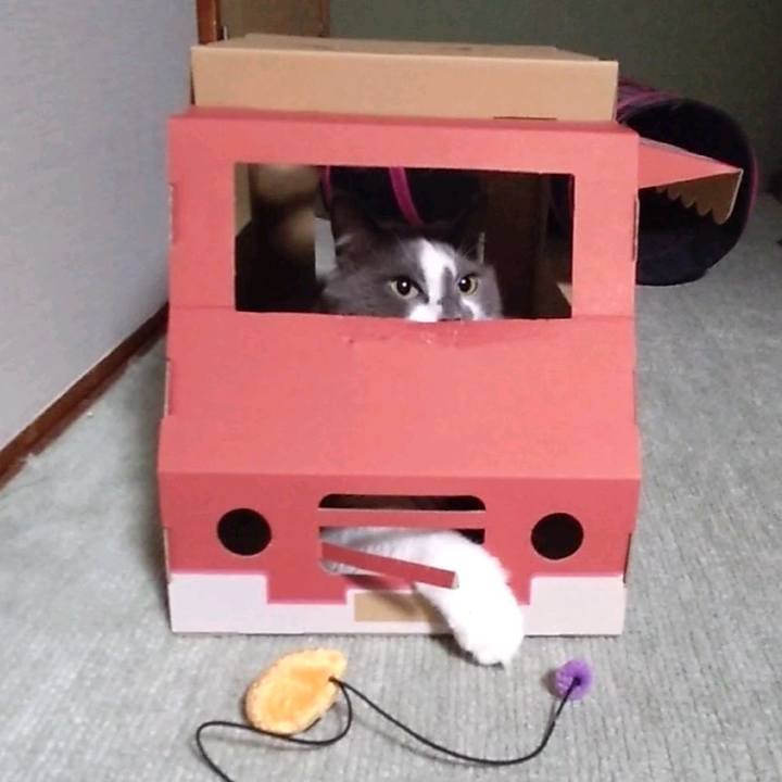 F577151e 6c01 48a3 bdc2 dcc23d8e2c5a 1632130504945