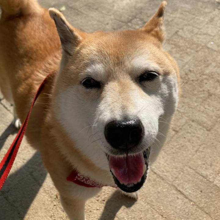 F57747bd d98f 4e5a 82f1 dc4734c4996d 1623318637559