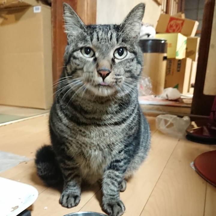 F5776221 27f8 4b54 a716 369ccdffb4bb 1631972192598