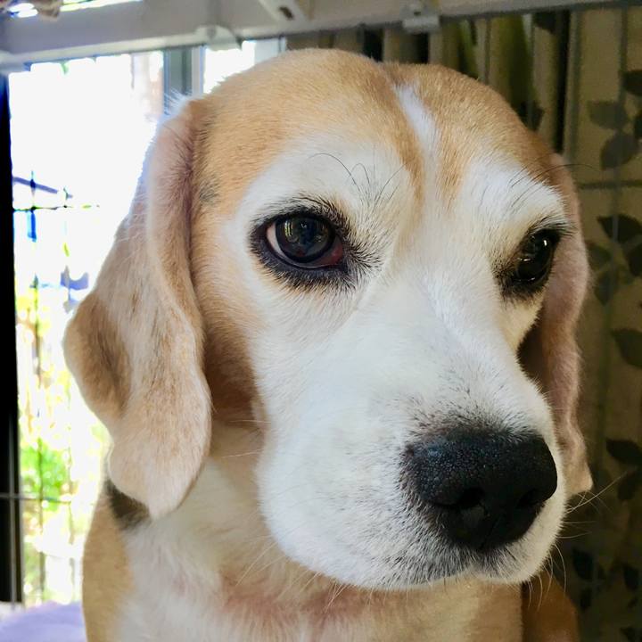 F5778590 3133 4612 9f71 45d66bd0536f 1540184564389