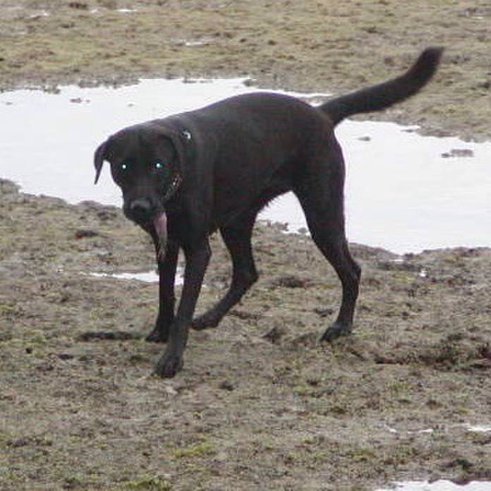 F5778fa7 55da 407a 926b fec9811f4181 1521294342451