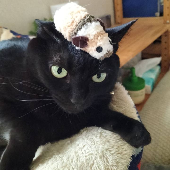 F5779ade 6279 4b61 8df1 47165dc63f2e 1635643765565