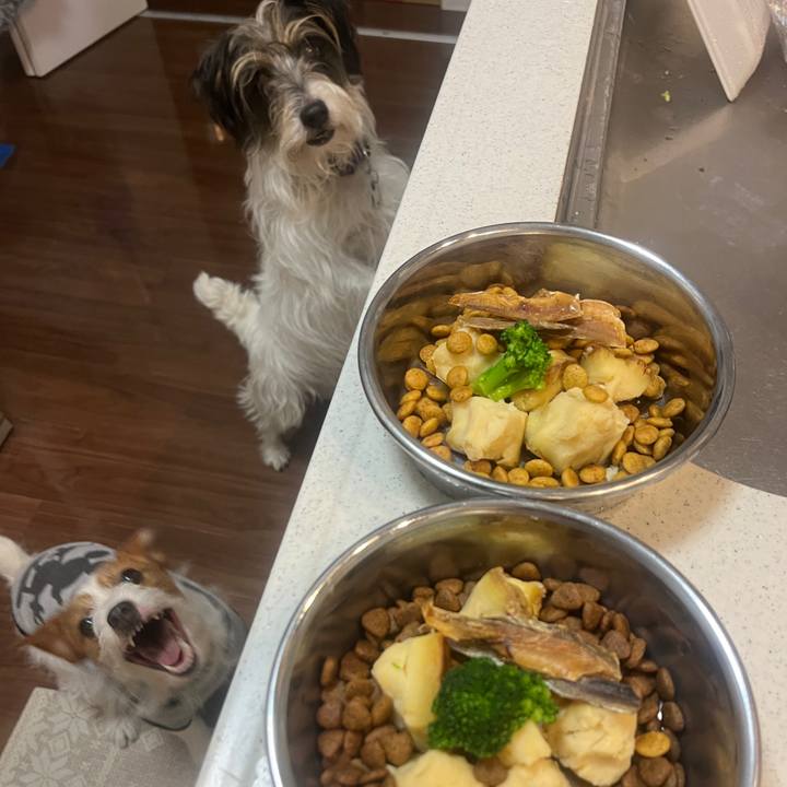 F5779b41 f59b 4726 a816 8065a1aa0280 1768645642500