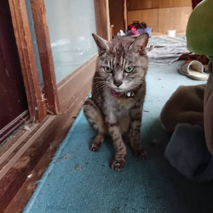 F577baab 7eeb 48a5 94af 3395b0bb8acb 1598826686901