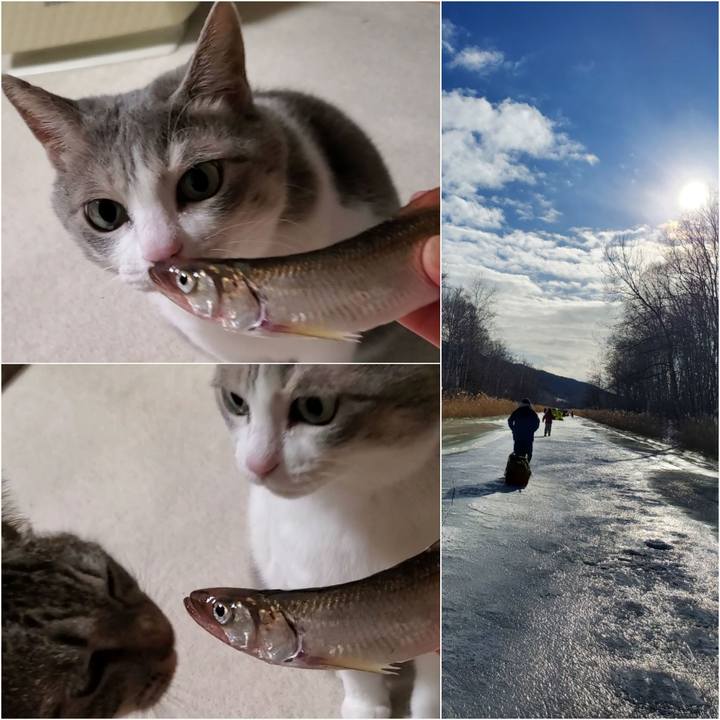 F578093e 6280 4b7f 9a8d 33f591619070 1703848894040