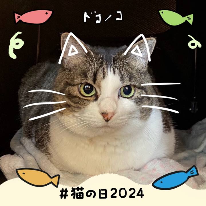 F57809c7 4648 48e4 8ce3 78c319c9c8c4 1708597294395