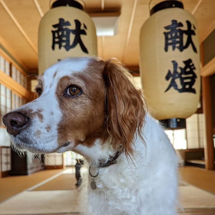 F5789e6c 38a1 426b 8374 e7d9aeb43029 1666504620257