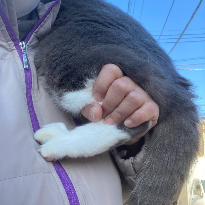 F578a805 c677 4431 ae20 be1cc27b3bd2 1700998716737