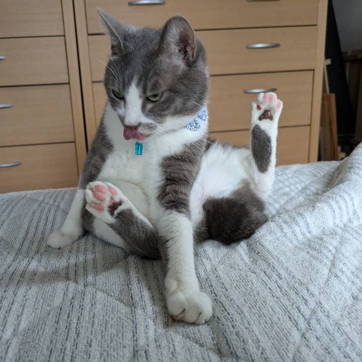 F578d946 88c7 4607 9db4 2cf8a00d8cc4 1729816041168