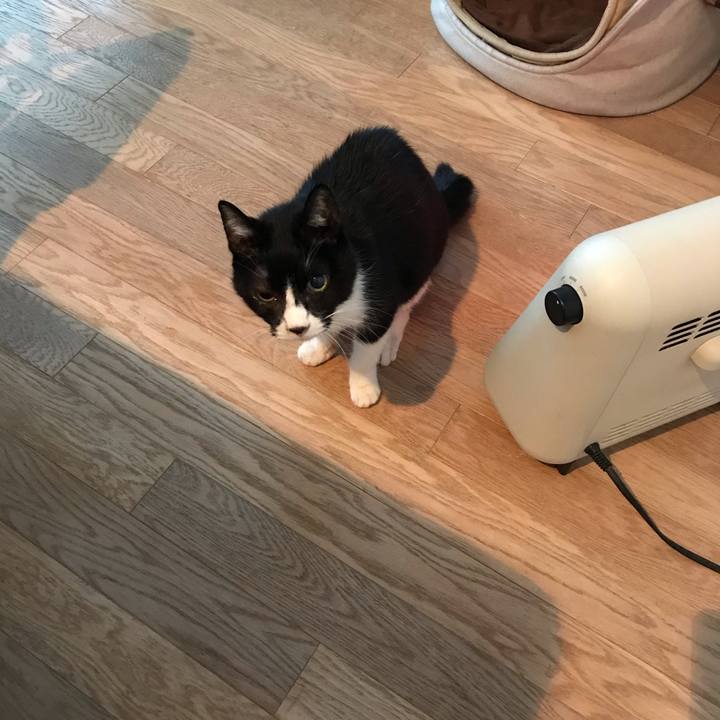 F578e1b7 8bbf 4822 8b5c aa54c6c996bd 1578364190443