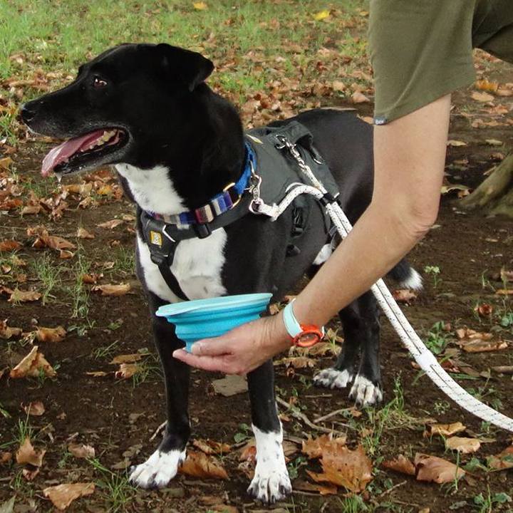 F578eb4d 864d 4345 b676 873fd07af081 1663458884381