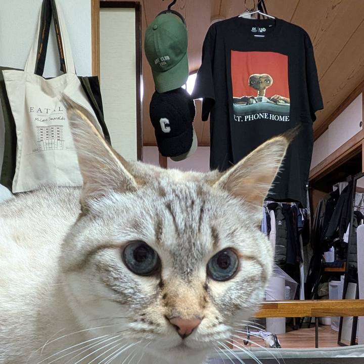 F5791f04 306d 4fcd a2b1 9cfa1bc234c6 1762947460505