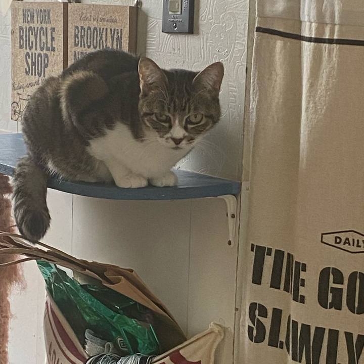 F57923b6 84aa 4ec5 9e76 2f905d078fff 1649821884513