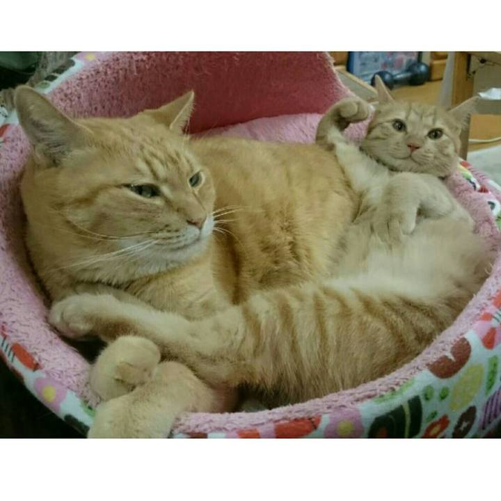 F579507d 3e0d 476a a87c 26098354242a 1544928973714