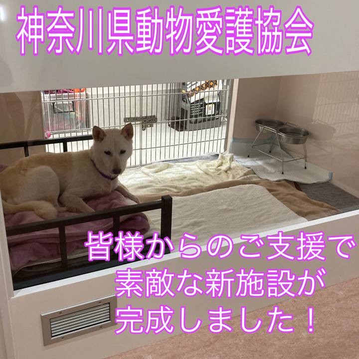 F5799aa7 4144 45a3 a364 bd4e6024c0b6 1735269328080